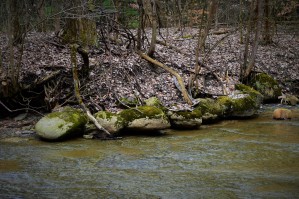Rocky creek